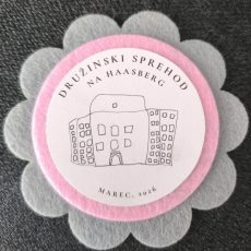 TRADICIONALNI POHOD NA HAASBERG